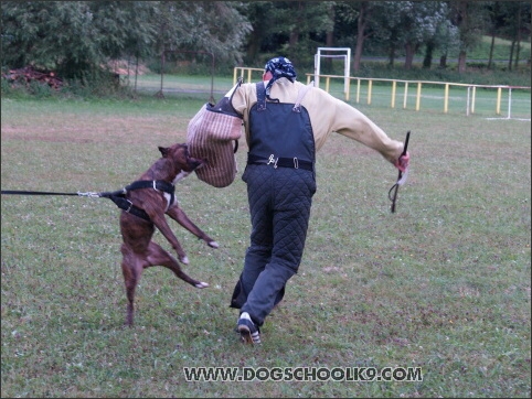 Training camp - Lukova 2007